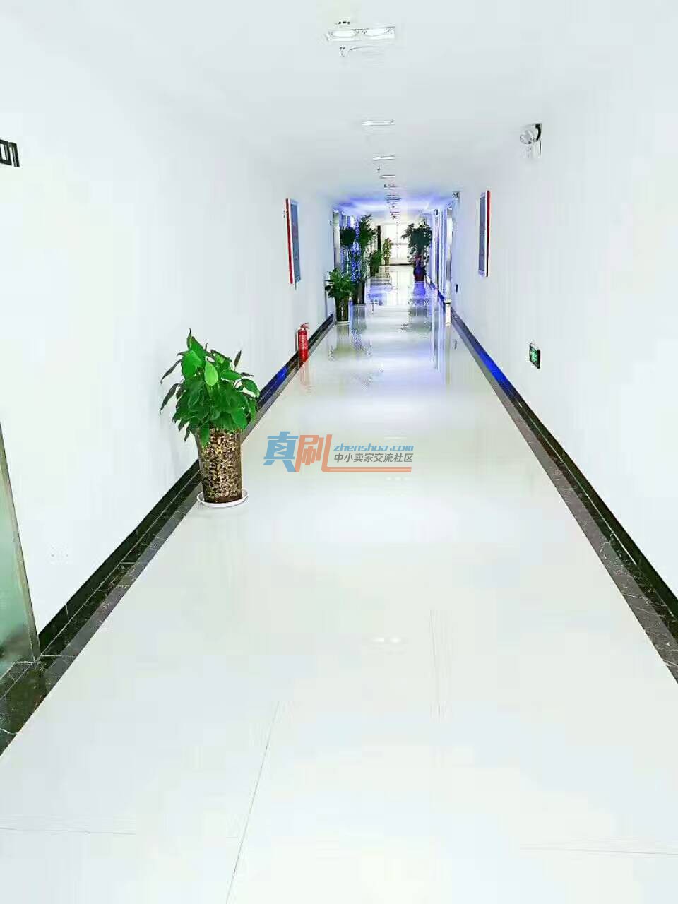 mmexport1500966644193.jpg